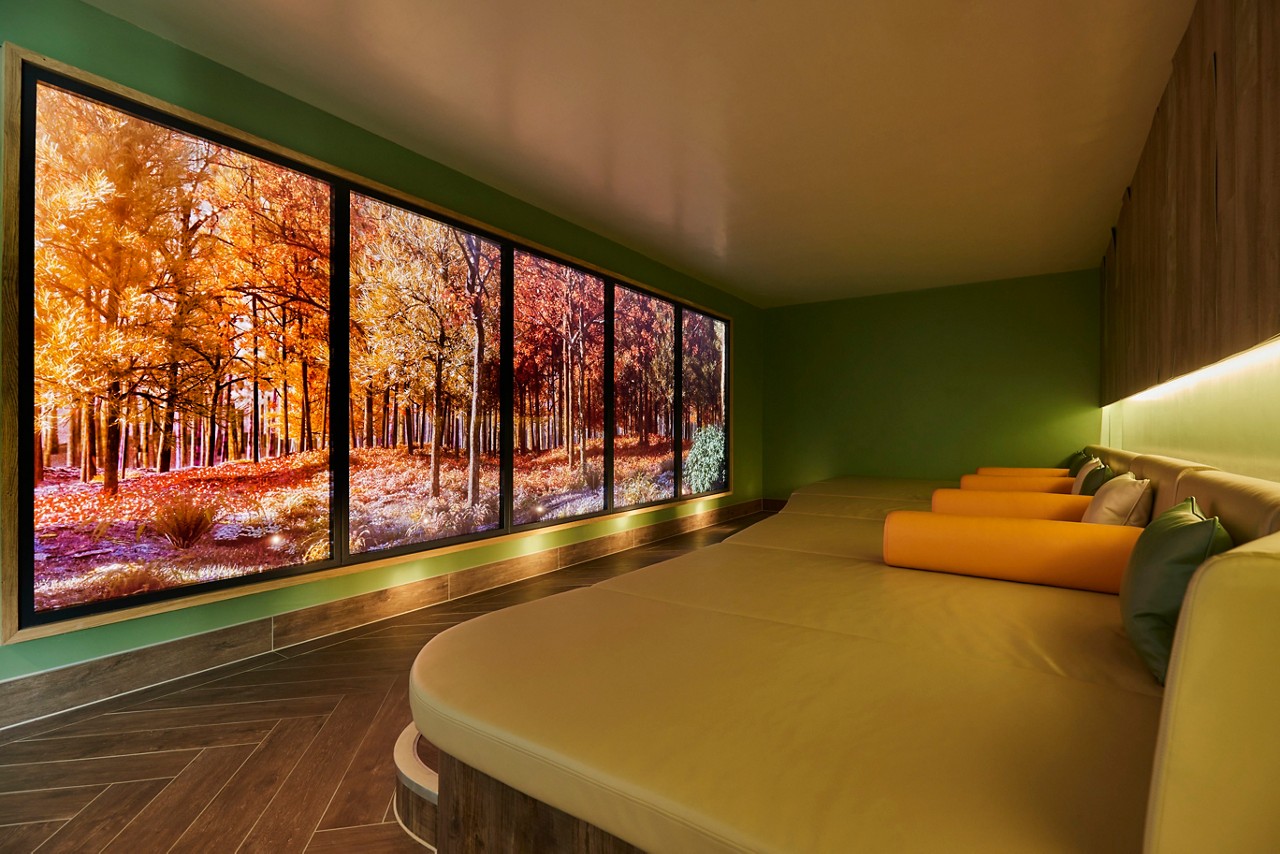 Cushioned lounging bed facing a seasonal view of the forest.